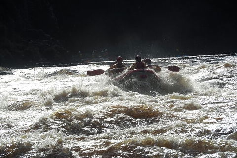 King River White Water Raft Journey From Queenstown With Lunch - Hobart Tourism 7