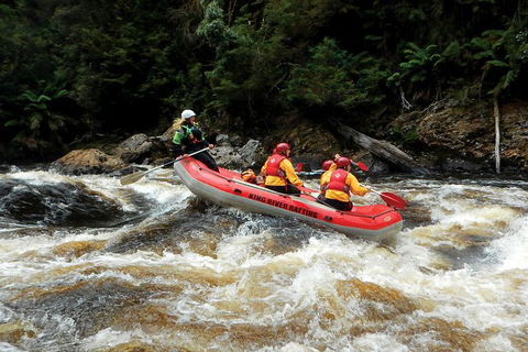 King River Whitewater Rafting Trip Including The Westcoast Wilderness Railway - Hobart Tourism 3