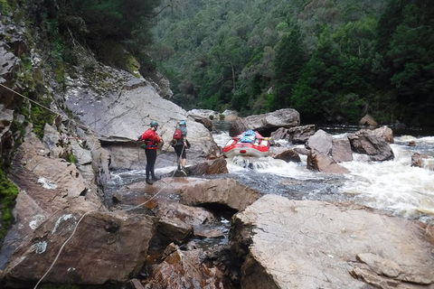 King River Whitewater Rafting Trip Including The Westcoast Wilderness Railway - Hobart Tourism 2