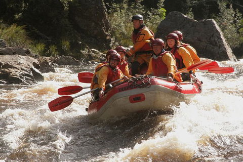 King River Whitewater Rafting Trip Including The Westcoast Wilderness Railway - Hobart Tourism 5