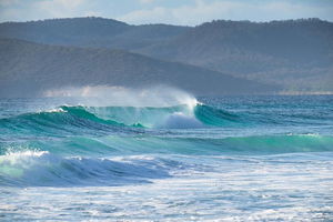 Full Day Tour Hobart: East Coast Classic Wine, Beach, Oysters, Seafood & Berries