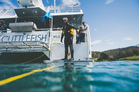 Deep-to-Dish: Tasmanian Seafood Experience - Afternoon Tour - Hobart Tourism 6