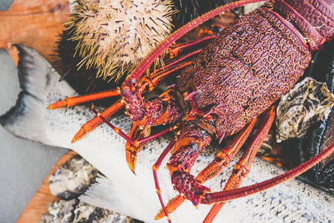 Deep-to-Dish: Tasmanian Seafood Experience - Afternoon Tour - Hobart Tourism 7