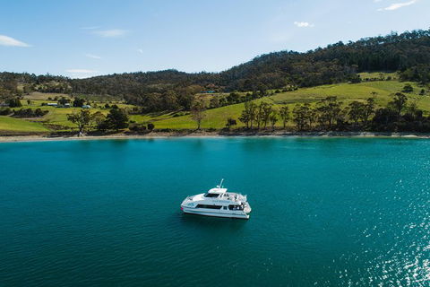 Deep-to-Dish: Tasmanian Seafood Experience - Afternoon Tour - Hobart Tourism 8