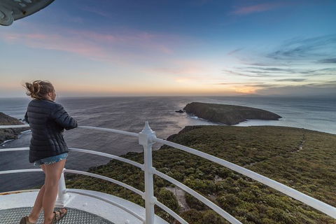 Fully Guided Bruny Island Lighthouse Tour - Hobart Tourism 4