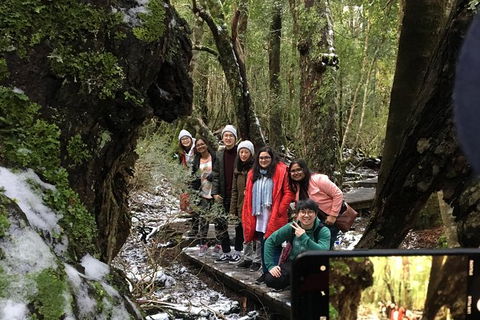 Cradle Mountain In A Day From Hobart - Hobart Tourism 5