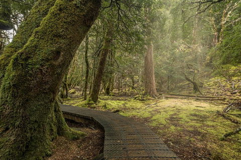 Cradle Mountain In A Day From Hobart - Hobart Tourism 1