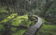 Cradle Mountain In A Day From Hobart - thumb 3