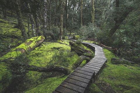 Cradle Mountain In A Day From Hobart - Hobart Tourism 3