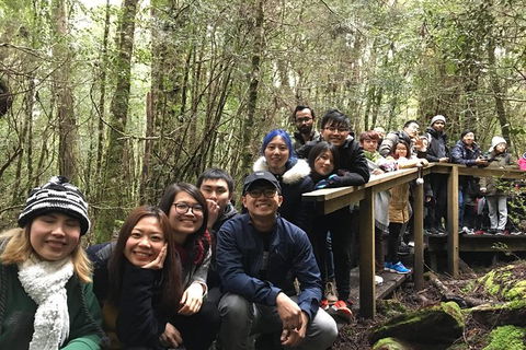 Cradle Mountain In A Day From Hobart - Hobart Tourism 2