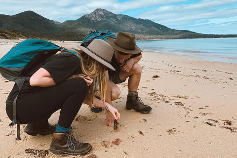 Freycinet Walking Tour - Hobart Tourism 0