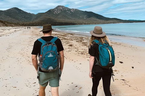Freycinet Walking Tour - Hobart Tourism 7