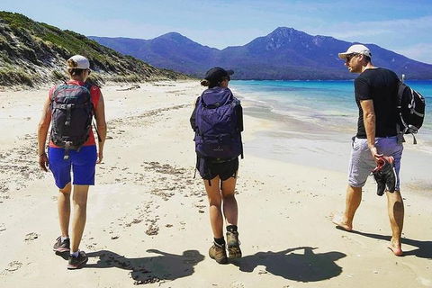 Freycinet Walking Tour - Hobart Tourism 1