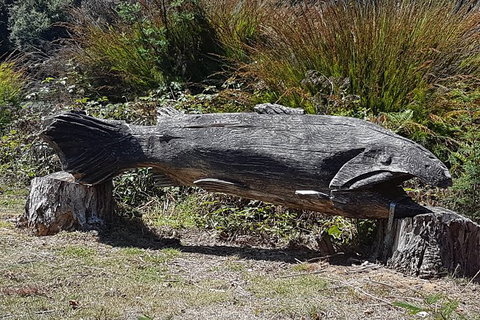 Cruise Ship Excursion: Gourmet Food & Wine - Tourism TAS 10