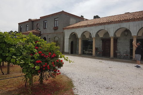 Cruise Ship Excursion: Gourmet Food & Wine - Tourism TAS 18