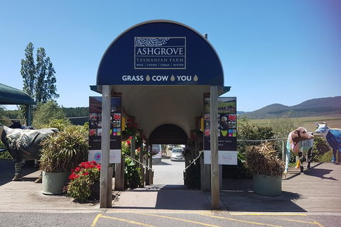 Cruise Ship Excursion: Gourmet Food & Wine - Tourism TAS 8