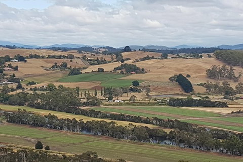 Cruise Ship Excursion: Gourmet Food & Wine - Tourism TAS 6