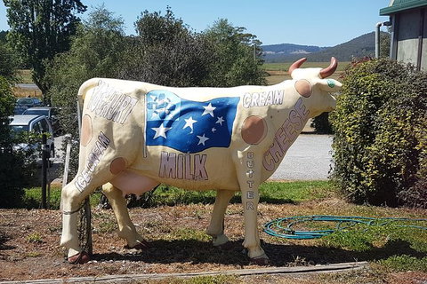 Cruise Ship Excursion: Gourmet Food & Wine - Tourism TAS 12