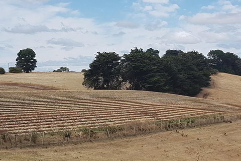 Cruise Ship Excursion: Gourmet Food & Wine - Tourism TAS 9