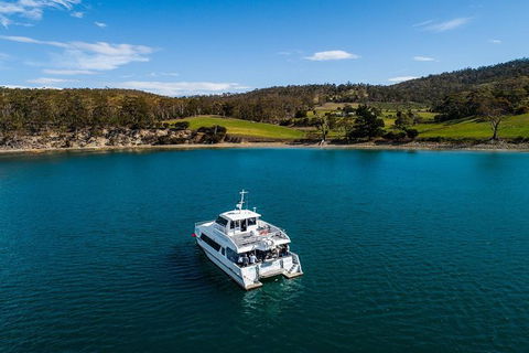 Deep-to-Dish: Tasmanian Seafood Experience - Morning Tour - Tourism TAS 4