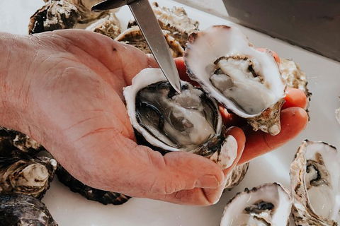Deep-to-Dish: Tasmanian Seafood Experience - Morning Tour - Tourism TAS 5