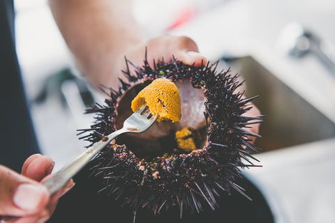Deep-to-Dish: Tasmanian Seafood Experience - Morning Tour - Tourism TAS 9