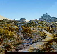 Hartz Mountains premium private photo-oriented day tour from Hobart - Tourism TAS