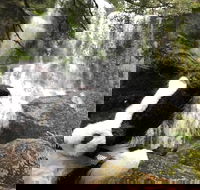 Waterfalls Guided Tour - Tourism TAS