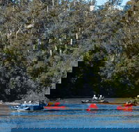 Twin Rivers Adventure - Tourism TAS