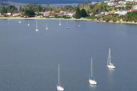 Hobart City Flight Including Mt Wellington And Derwent River - Tourism TAS 1