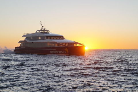 Afternoon Gordon River Dinner Cruise - Departing 3pm - Tourism TAS 0