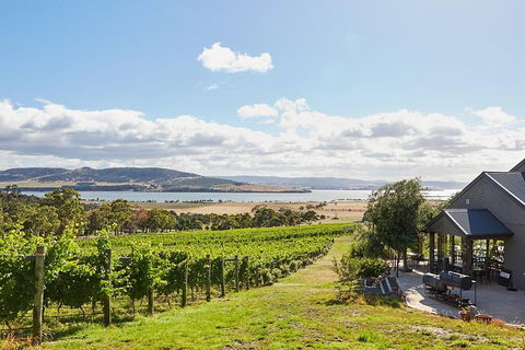 Launceston Wine & Sightseeing Tours - Hobart Tourism 0
