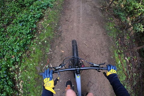 Explore Downhill Mountain In 3-Hour Bike Tour From Hobart - Tourism TAS 4