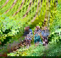 Hobart Highlights of Tasmanian Wine Full Day Tour - Tourism TAS