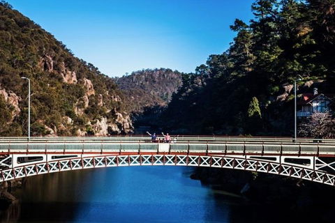3.5 Hours Walking Tour To Cataract Gorge With Local Guide - Tourism TAS 5