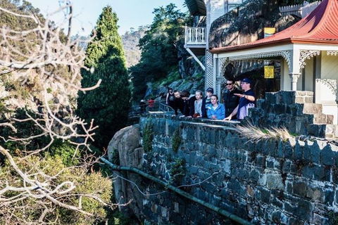 3.5 Hours Walking Tour To Cataract Gorge With Local Guide - Tourism TAS 3
