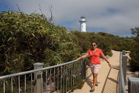 Half-Day Tour To Wineglass Bay From Launceston With Guide - Hobart Tourism 2