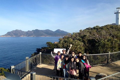 Half-Day Tour To Wineglass Bay From Launceston With Guide - Hobart Tourism 3