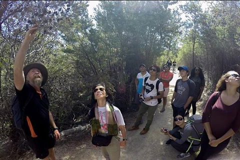 Half-Day Tour To Wineglass Bay From Launceston With Guide - Hobart Tourism 1