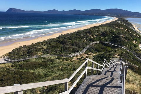 4-Day Fabulous Tasmania Tour: Wineglass Bay, Port Arthur, Devils & Bruny Island - Hobart Tourism 3