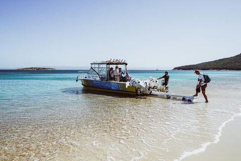 Sea & Explore Wineglass Bay & Freycinet National Park - Cruise & Walk - Tourism TAS 3
