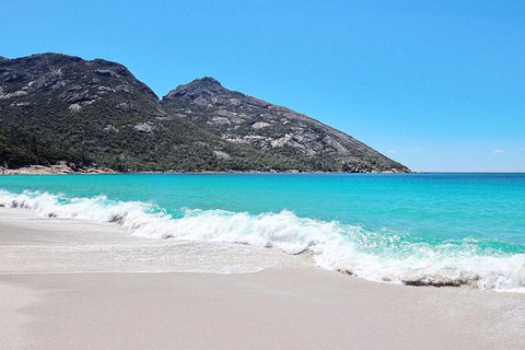 Sea & Explore Wineglass Bay & Freycinet National Park - Cruise & Walk - Tourism TAS 4