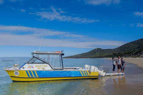 Sea & Explore Wineglass Bay & Freycinet National Park - Cruise & Walk - Tourism TAS 7