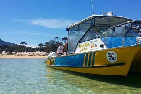 Sea & Explore Wineglass Bay & Freycinet National Park - Cruise & Walk - Tourism TAS 1