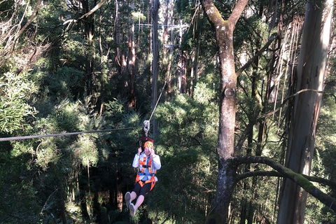 Private Great Ocean Road Day Tour From Melbourne - Tourism TAS 11