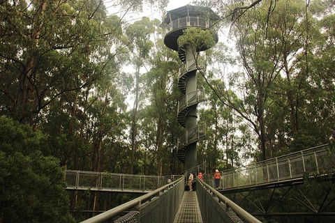 Private Great Ocean Road Day Tour From Melbourne - Tourism TAS 4