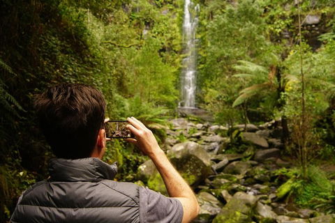 Private Great Ocean Road Day Tour From Melbourne - Tourism TAS 5