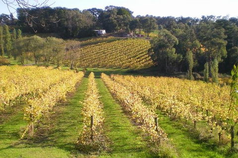 Macedon Ranges Winery Tour From Melbourne - Tourism TAS 1