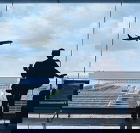 Private Transfer Avalon International Airport AVV to Melbourne - Hobart Tourism
