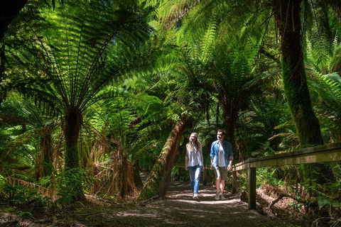 The Great Ocean Road 1 Day Private Sunset Tour - Hobart Tourism 1